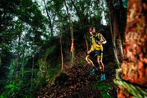 BIB: 
                            <button type="button" onclick="openModal(26198394)" class="btn btn-primary btn-sm float-right btn-popup" data-toggle="modal" data-target=".modal-high-quality">
                        <i class="fas fa-shopping-cart"></i> Add to Cart
                    </button>
                                            <button type="button" onclick="isThisMe(26198394, true)" class="btn btn-success btn-sm float-right btn-popup btn-isme hidden" data-toggle="tooltip" data-placement="bottom" title="นี่คือรูปของคุณใช่ไหม คลิกที่นี่เพื่อเอาเข้าอัลบั้ม">
                        <i class="fas fa-plus"></i> Add to album
                    </button>
                    <button type="button" onclick="isThisMe(26198394, false)" class="btn btn-warning btn-sm float-right btn-popup btn-isnotme hidden">
                        <i class="fas fa-ban"></i> Remove from album
                    </button>